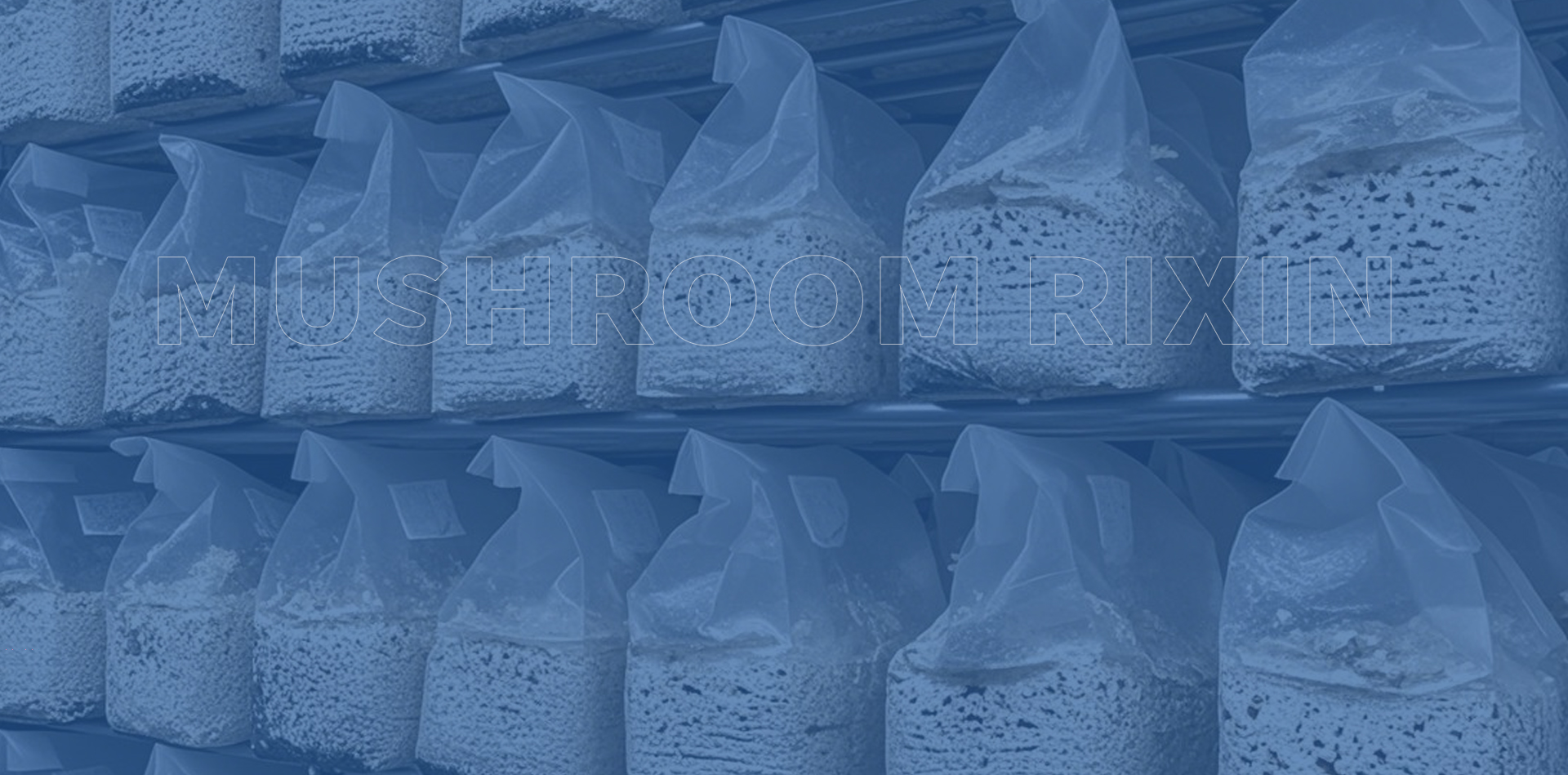 DALIAN MUSHROOM RIXIN
INTERNATIONAL TRADE CO., LTD.